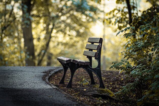 公园秋天公园里一张木凳的惊人照片树叶娱乐舒适