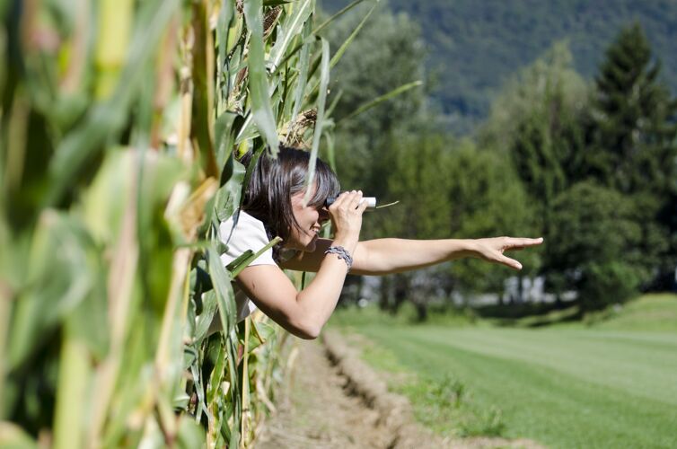 吸引力选择性聚焦拍摄的女性透过望远镜从窗口看农场人美丽