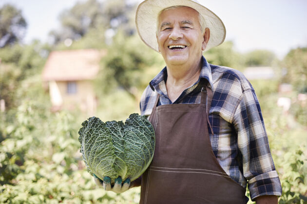 职业在地里种菜的老人防护手套老年人菜园