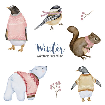 叶冬季水彩画收藏与企鹅 松鼠 白熊和鸟花背景花园