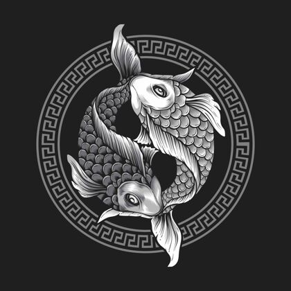 文化阴阳锦鲤鱼孤立于灰色精神佛教卡通