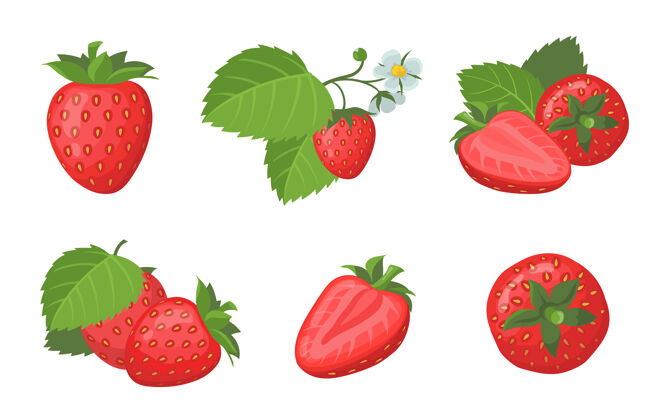 饮食新鲜成熟的草莓套装整片和切片多汁的红色夏季浆果 叶子呈白色平面插图整体园艺健康