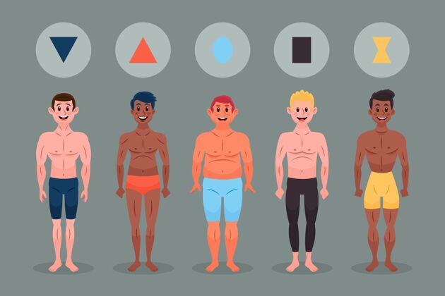 解剖卡通类型的男性体型包成人轮廓形式
