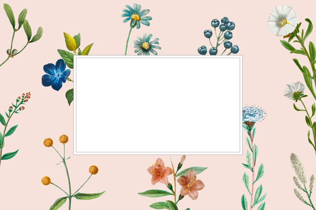花卉背景夏季植物背景上的空白框架矩形开花空白