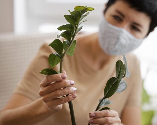 室内戴着口罩的散焦女人照顾室内植物种植种植面膜