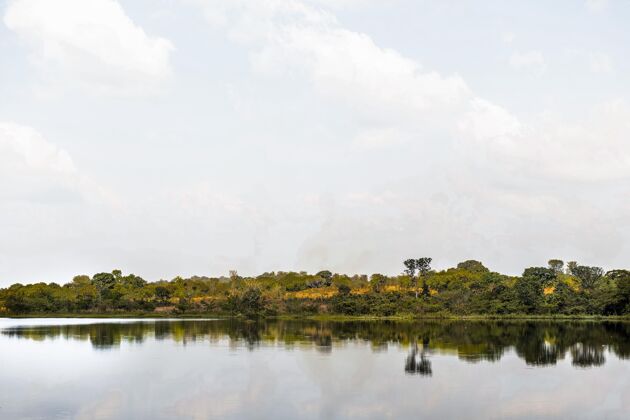 树木非洲自然景观与湖泊景观水平观点