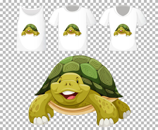 展示一套不同的衬衫与海龟卡通人物隔离在透明的背景前面颜色可爱