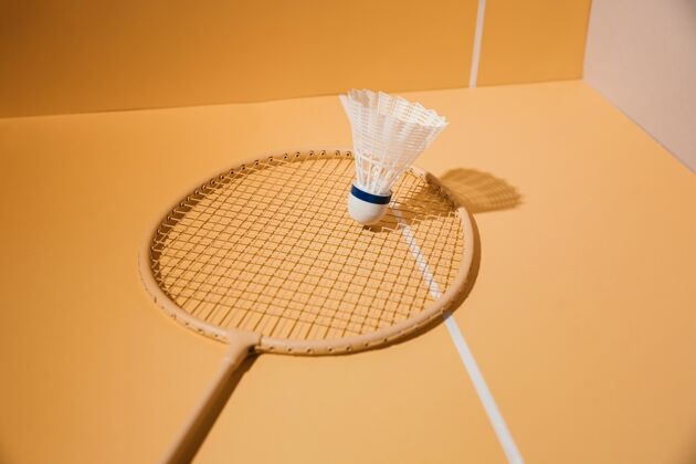 简单羽毛球球拍和羽毛球组合运动羽毛球球拍羽毛球