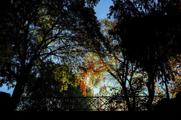 花园美丽的秋天景色在贾第迪尼pubbliciindro蒙塔内利公园在米兰 意大利公园树户外