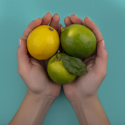 景观俯视图：手拿柠檬和青绿色背景的女士控股手柑橘