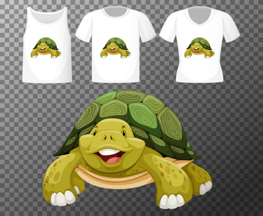 Collection海龟卡通人物与透明背景上的衬衫多种类型生物爬行动物Living