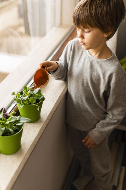 生物高角度的小孩在窗边浇花活动庭院栽培