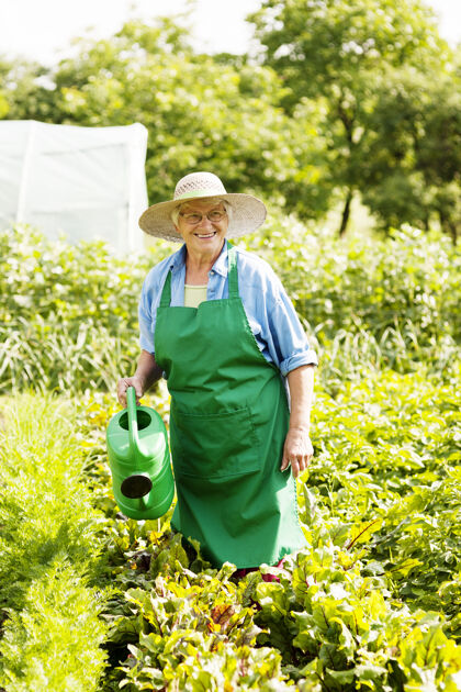 浇水罐老妇人在浇花成人女人农民