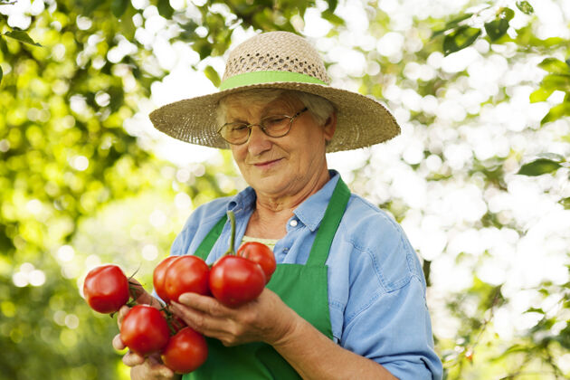 帽子老妇人拿着西红柿成人女人考试