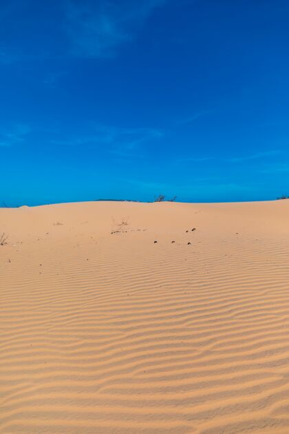 风景美丽的梅讷沙丘垂直图像 万丹在晴朗的蓝天下涟漪沙地自然
