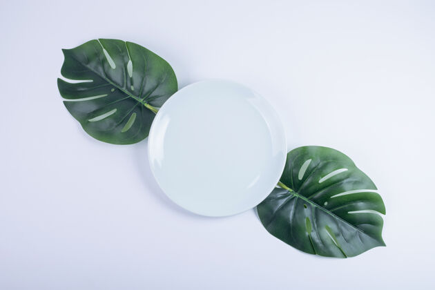 绿色人造的绿叶和白色的盘子放在白色的表面上圆形常绿视图