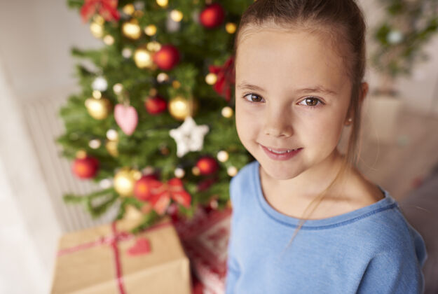 家内圣诞节美丽小女孩的画像孩子室内装饰