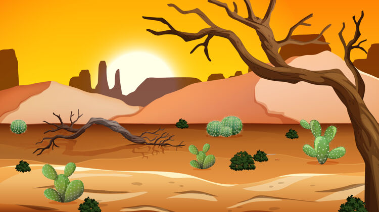 自然野外沙漠景观在白天的景象森林干旱撒哈拉