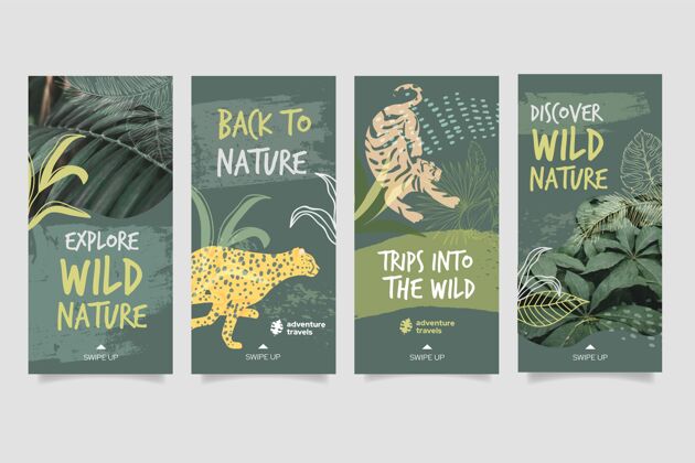 动物Instagram植物和动物野生自然故事集Instagram自然树叶