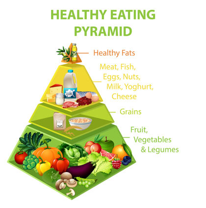 乳制品健康饮食金字塔图图表水果信息图