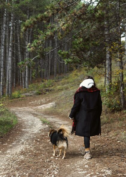 年轻带着她的狗在森林里散步的年轻女人女人和平季节