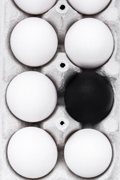 顶部不同颜色的蛋为黑色生命物质运动的单位人权意识平面