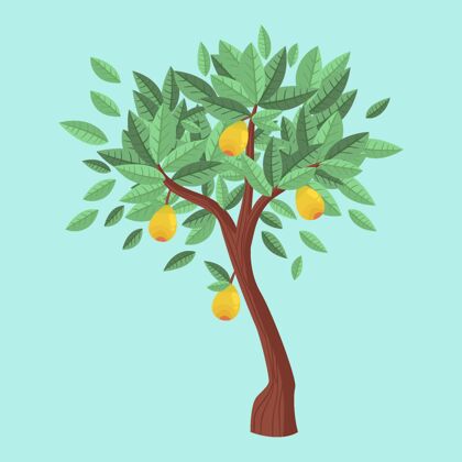 营养平面设计芒果树与水果和绿叶烹饪芒果树