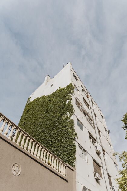 城市景观有植被的城市建筑植被景观场景