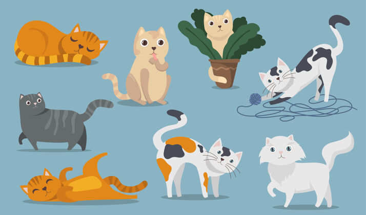 插图好玩可爱的猫平面项目集卡通毛茸茸的小猫 小猫和tabbies坐 玩 躺着和睡觉孤立矢量插图收集宠物和动物的概念姿势姜扁平