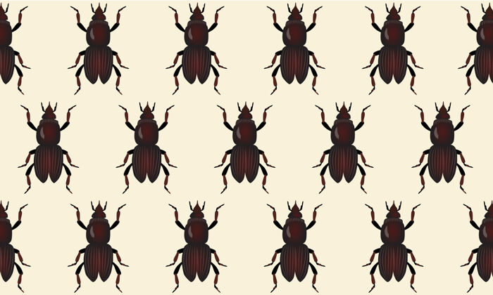 昆虫米黄色背景上五月甲虫的抽象图案面料图案动物