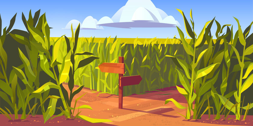 玉米绿色的玉米植株和玉米田之间的沙路 带有箭头和交通标志的木柱农田农业景观 自然风光卡通插画种植牌匾指针