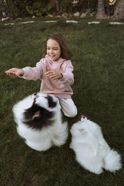 狗高视野的狗和女孩玩狗快乐女孩