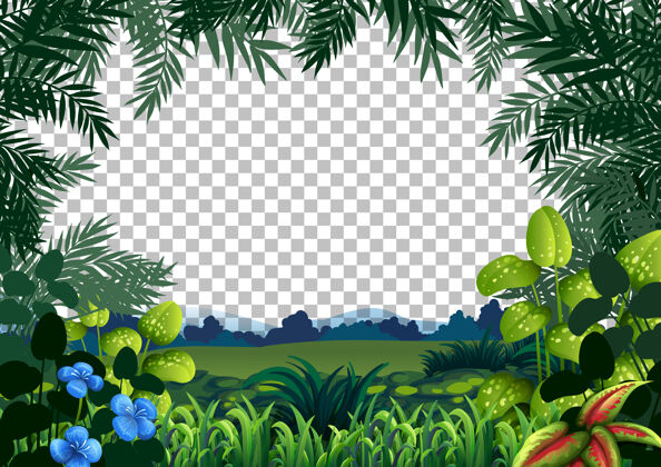 框架透明背景上的空白自然景观户外森林模板