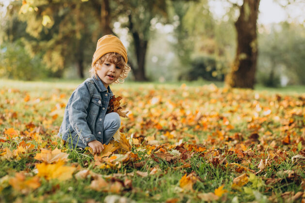 可爱可爱的男孩在秋天公园玩树叶孩子树叶探索
