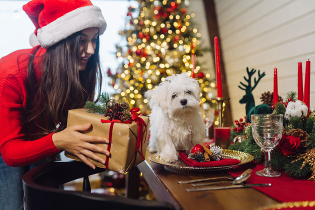 盒子小狗在装饰圣诞桌上 一个女孩站在旁边拿着礼物年轻圣诞节问候