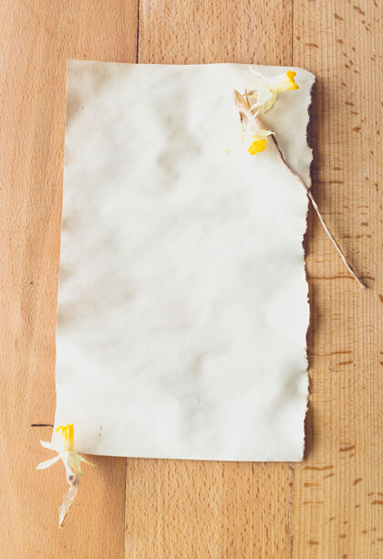 笔记枯黄的花朵躺在一张旧的空白纸上放文字的地方手工制作邮件自然