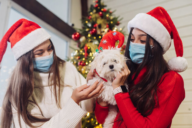 小狗新年前夕 几个女孩在家里玩小狗圣诞节期间冠状病毒 概念病毒安全帽子