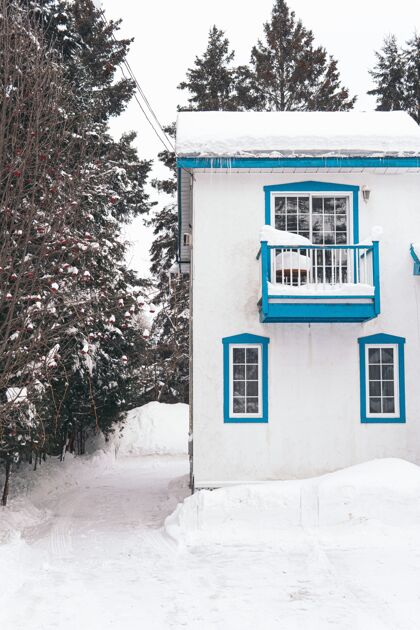 松一个冬天被白雪覆盖的房子的垂直镜头天气雪外面
