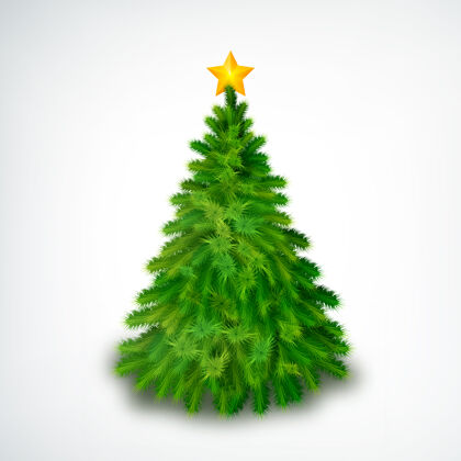 单一现实的圣诞树 白色的顶上有金色的星星家庭节日常青树