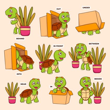 学习给有海龟的孩子们的英语介词教育英语知识