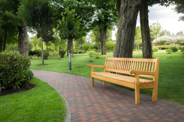 欧洲在美丽的公园 树下的大木凳放松灌木休息